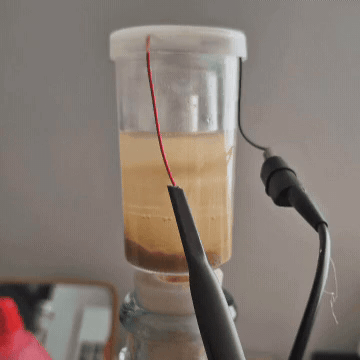 Bubble formation experiment